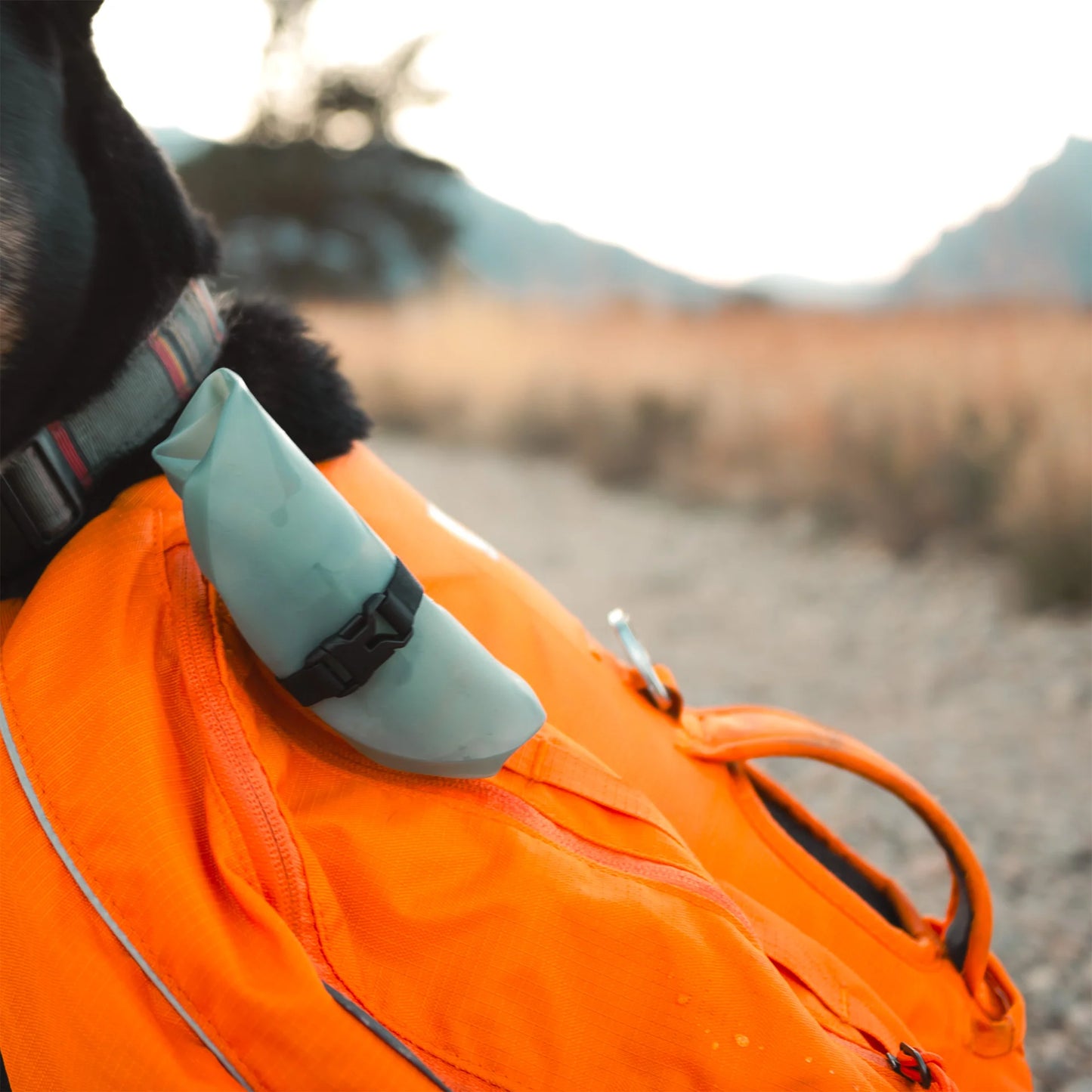 HydraPak - Rover Dog Bowl