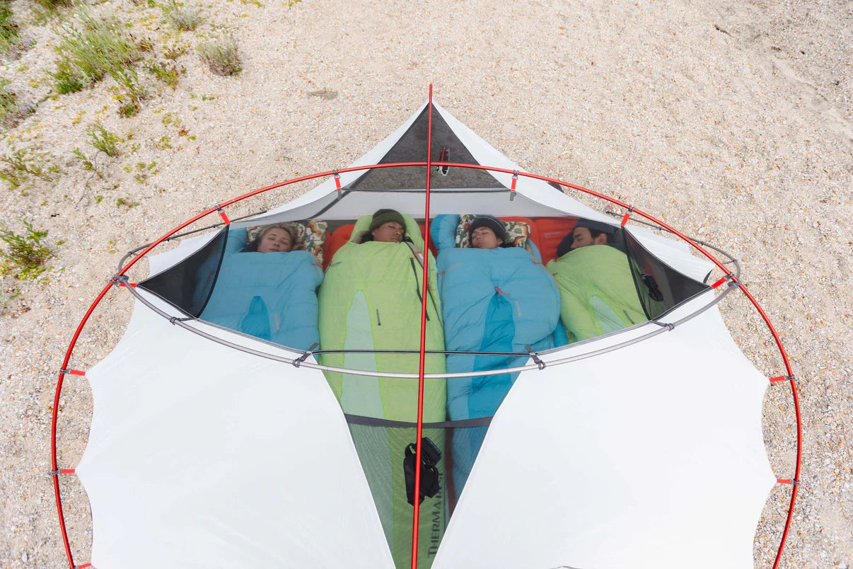 MSR - Elixir™ 4 Backpacking Tent (2025)
