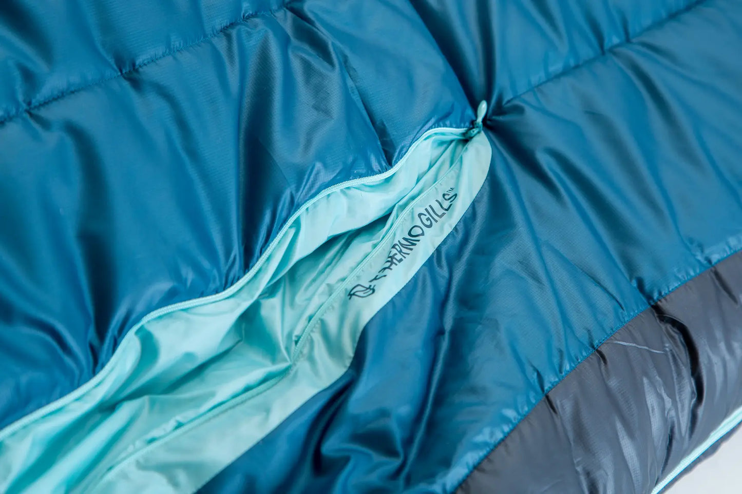Nemo Equipment - Forte 20F/-7C Women's Regular Endless Promise Sleeping Bag