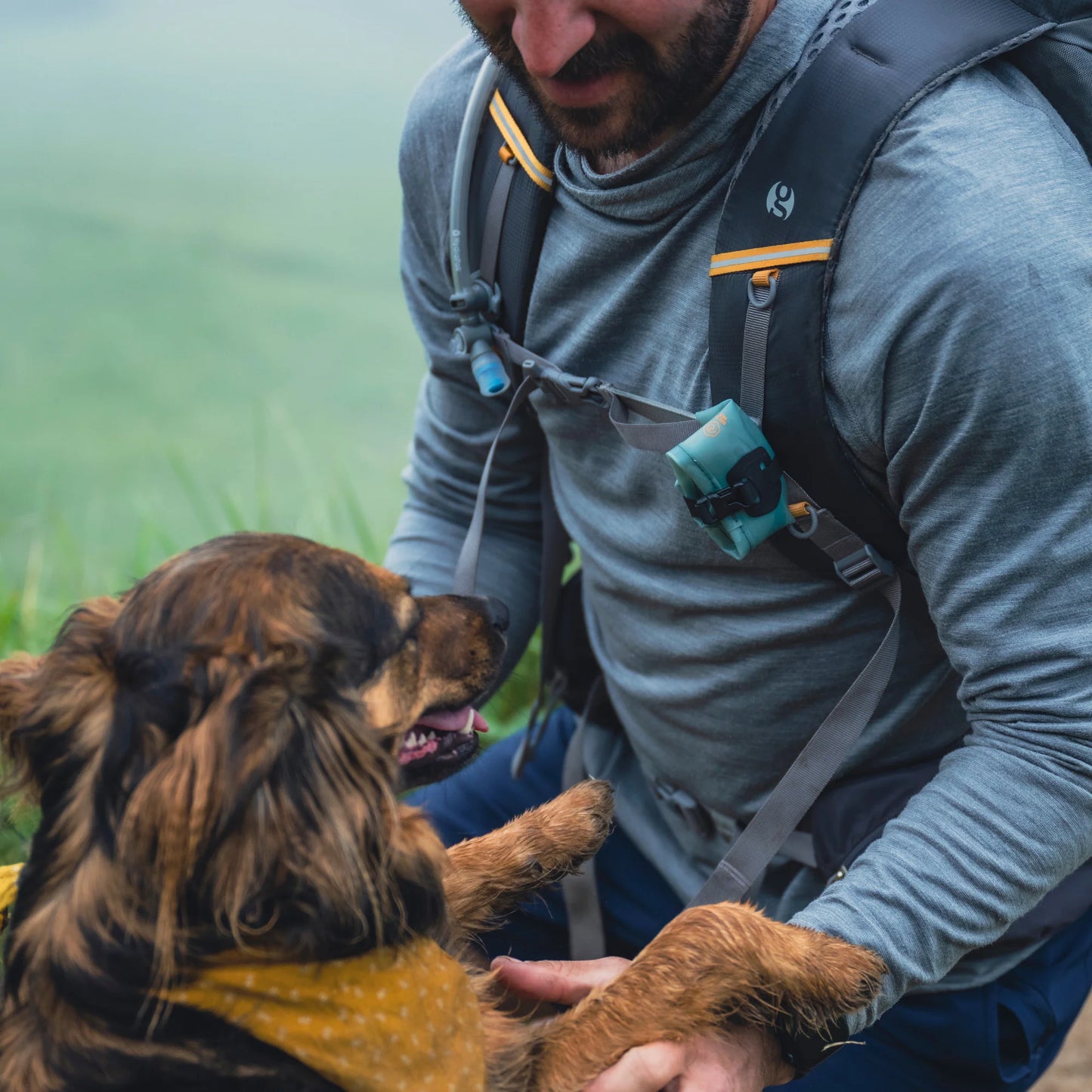 HydraPak - Rover Dog Bowl