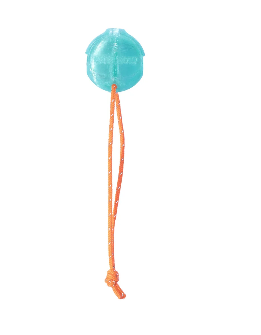 PARAPACK - Disc Whistle