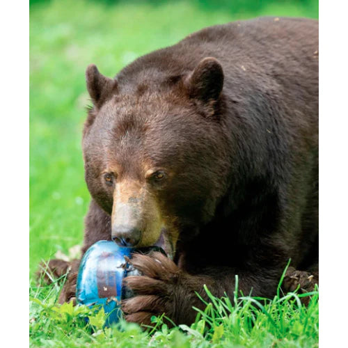 BearVault - BV425 Sprint Bear Resistant Food Canister (5L)