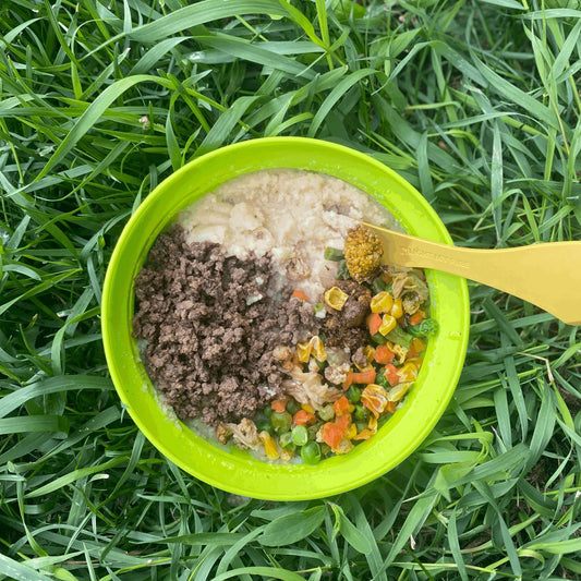 Wild Mountain Eats - Shepherds Pie