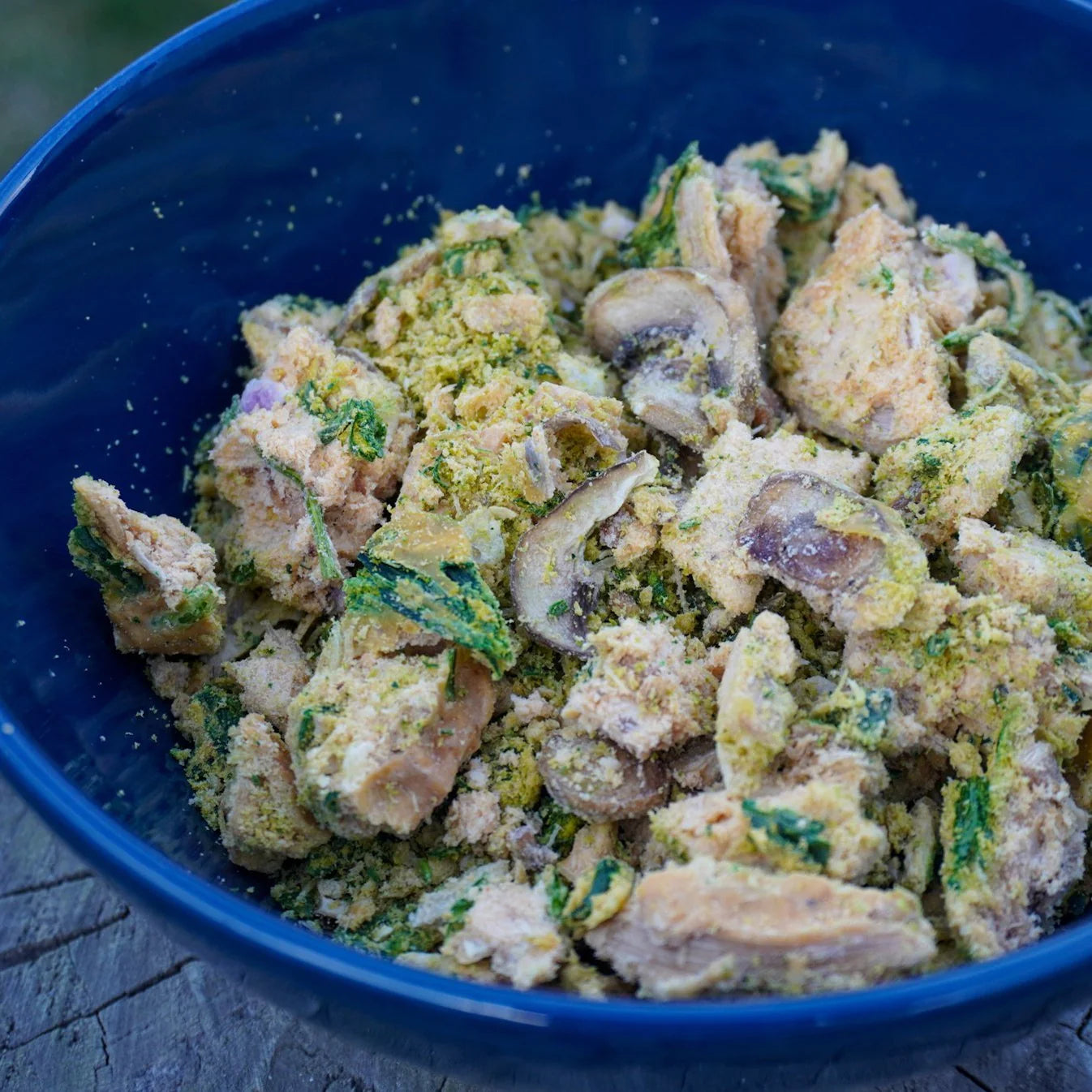 Flat Out Feasts - Freeze-Dried Cheesy Chicken Casserole: with Mushrooms & Spinach