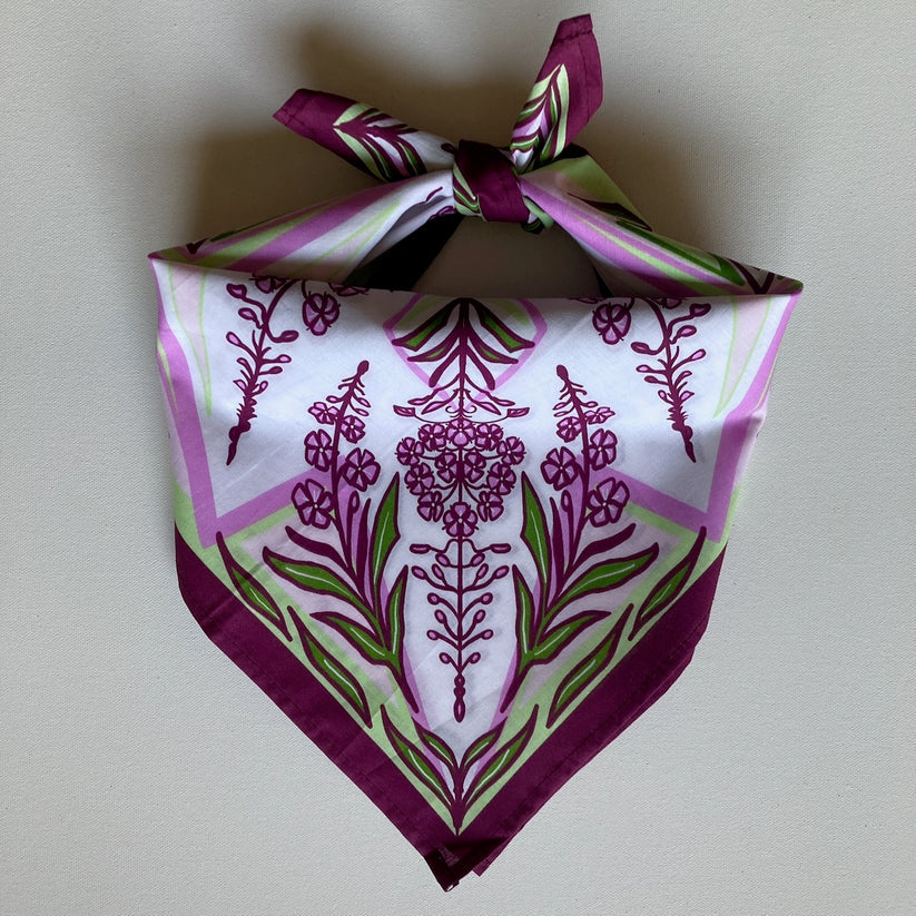 Backcountry Bandanas