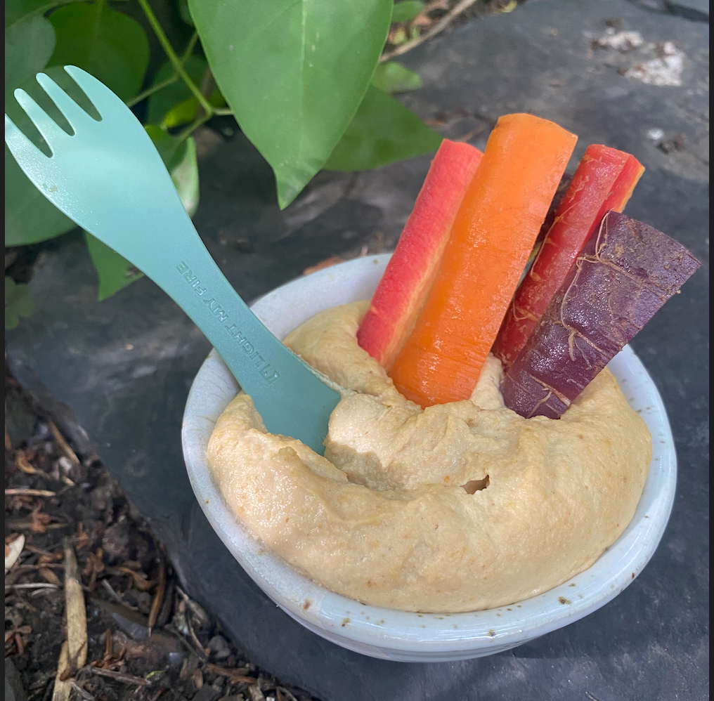 Wild Mountain Eats - Hummus