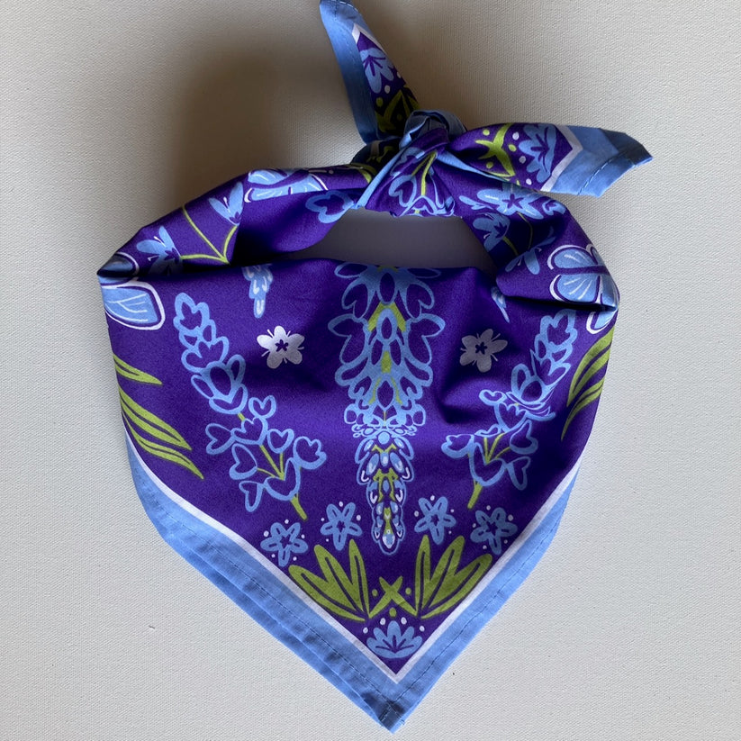 Backcountry Bandanas