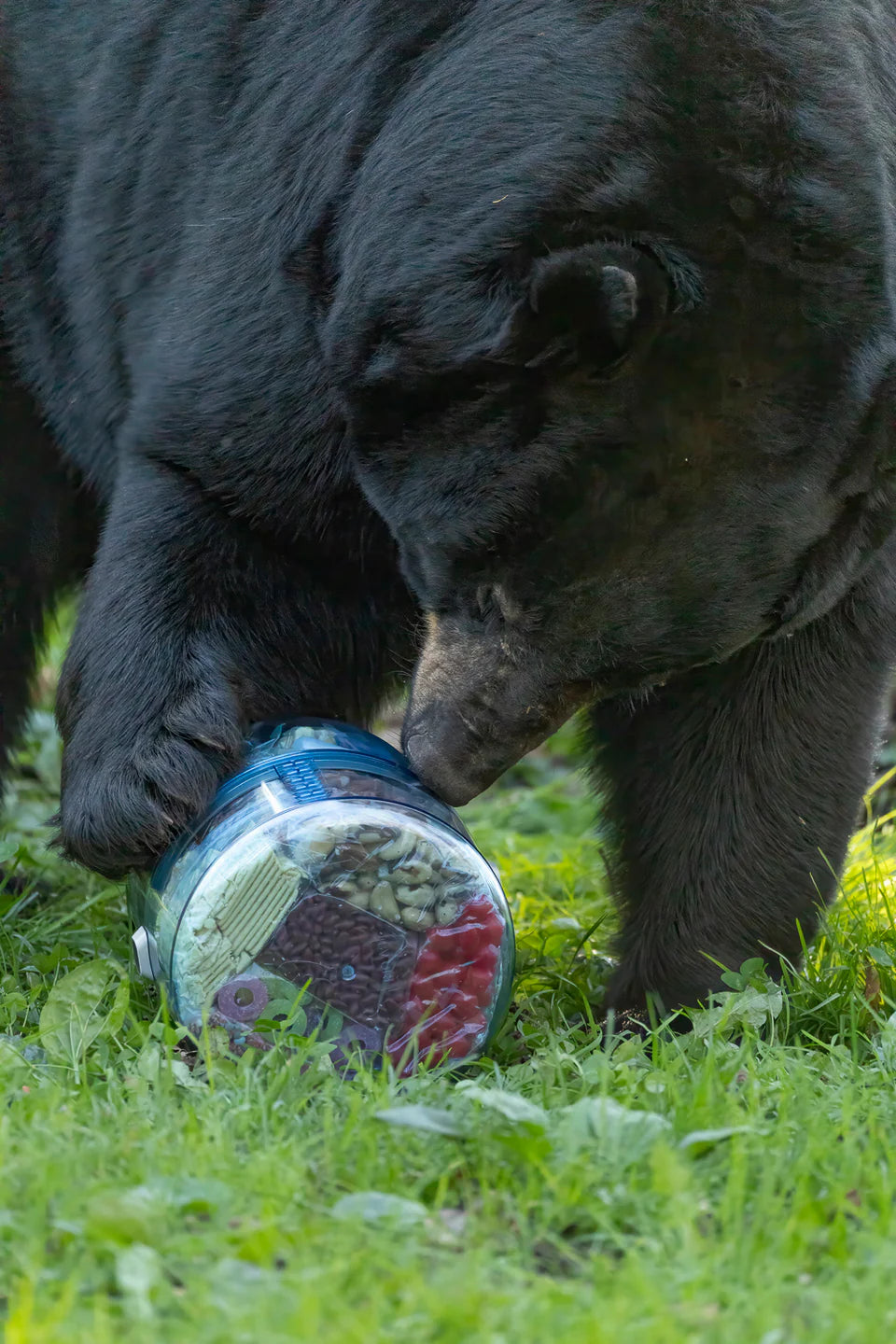 BearVault - BV ONE™ Adjustable Bear Canister