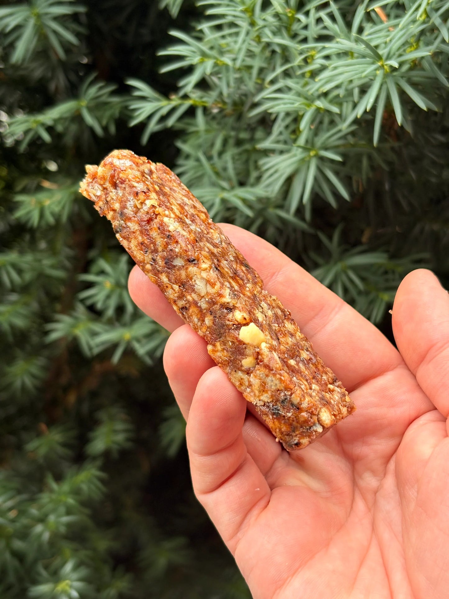 Aegir - Energy Bar