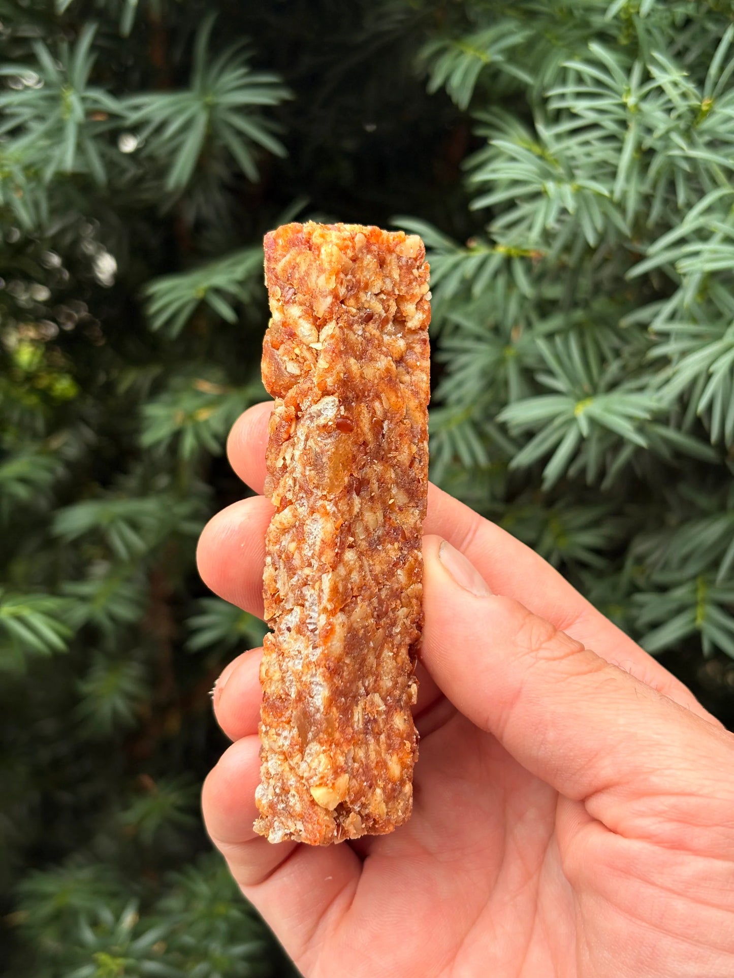 Aegir - Energy Bar
