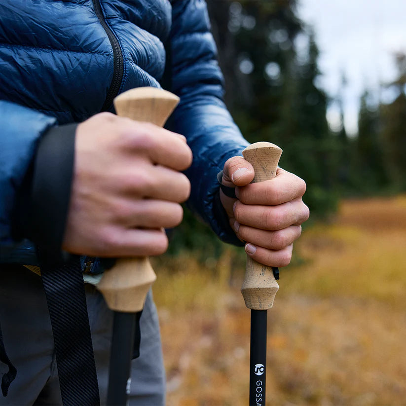 Gossamer Gear - LT5 Three Piece Carbon Trekking Poles